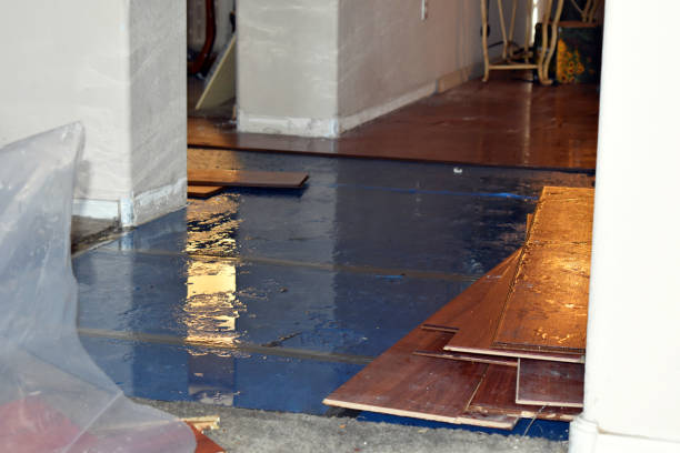 Professional Basement Flood Cleanup technician working in Washington, IA